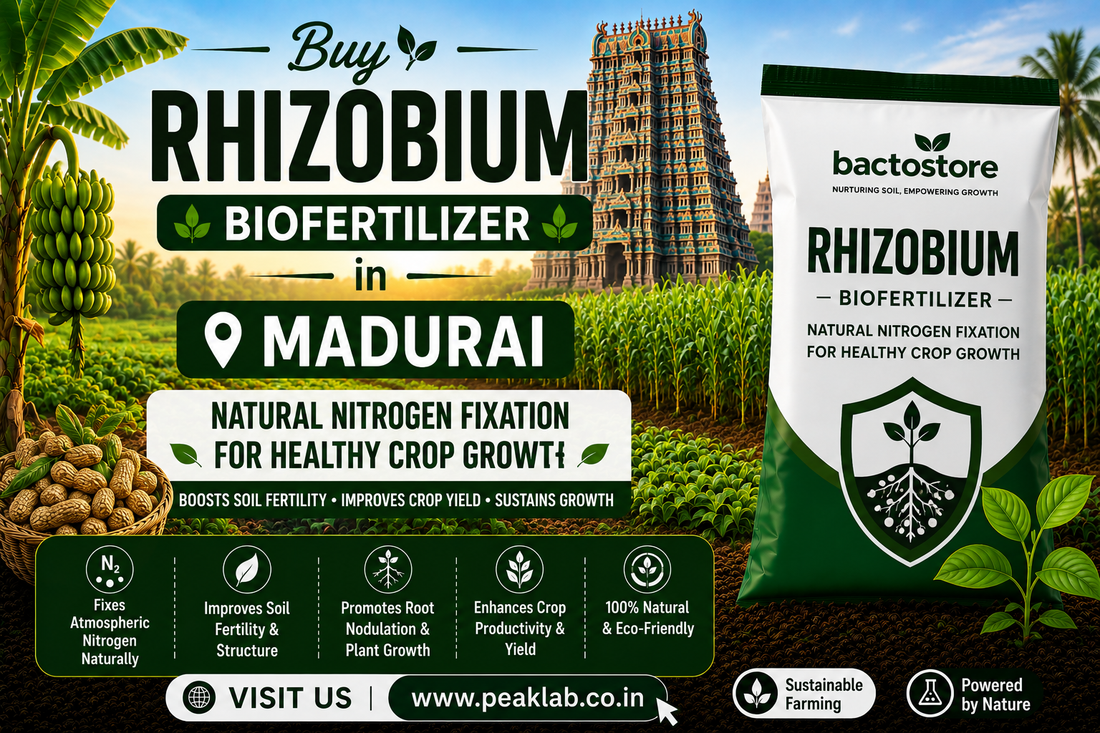 Buy Rhizobium Biofertilizer in Madurai – Natural Nitrogen Fixation for Healthy Crop Growth