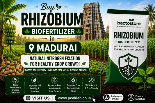 Buy Rhizobium Biofertilizer in Madurai – Natural Nitrogen Fixation for Healthy Crop Growth