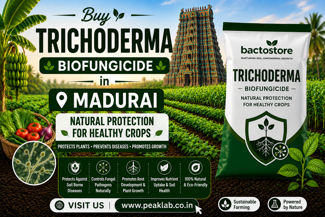 Buy Trichoderma Biofungicide in Madurai – Natural Protection for Healthy Crops
