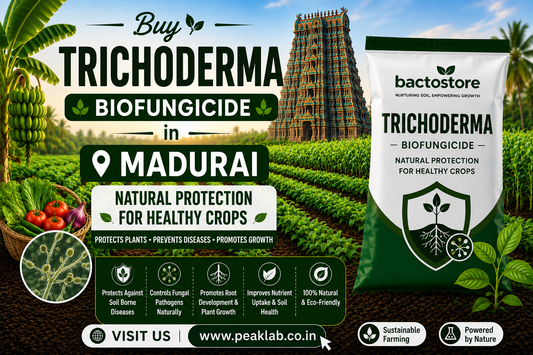 Buy Trichoderma Biofungicide in Madurai – Natural Protection for Healthy Crops