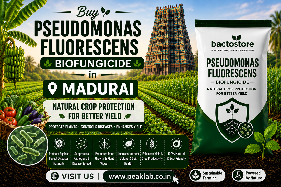 Buy Pseudomonas Fluorescens Biofungicide in Madurai – Natural Crop Protection for Better Yield