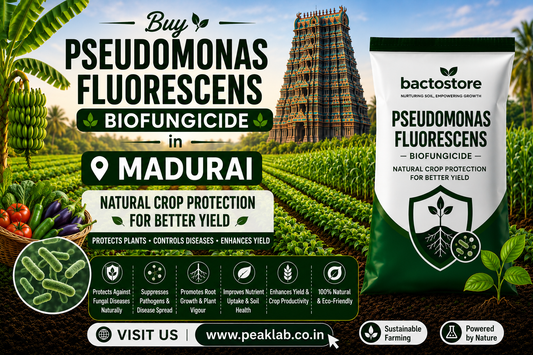 Buy Pseudomonas Fluorescens Biofungicide in Madurai – Natural Crop Protection for Better Yield