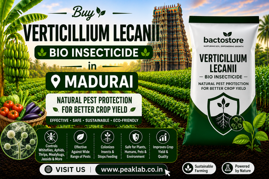 Buy Verticillium Lecanii Bio Insecticide in Madurai – Natural Pest Protection for Better Crop Yield
