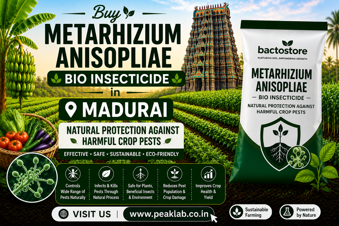 Buy Metarhizium Anisopliae Bio Insecticide in Madurai – Natural Protection Against Harmful Crop Pests