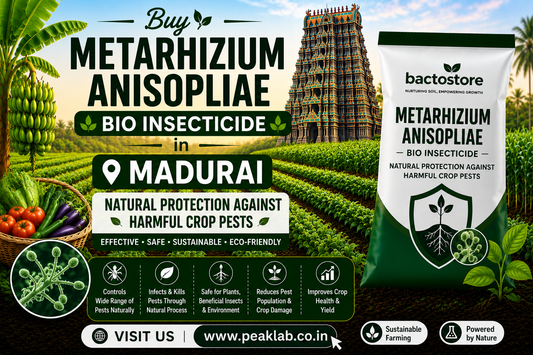 Buy Metarhizium Anisopliae Bio Insecticide in Madurai – Natural Protection Against Harmful Crop Pests