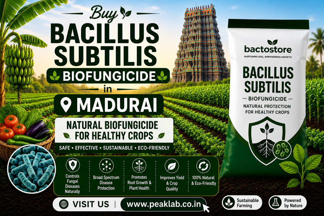 Buy Bacillus Subtilis in Madurai – Natural Biofungicide for Healthy Crops