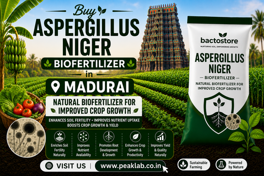 Buy Aspergillus Niger in Madurai – Natural Biofertilizer for Improved Crop Growth