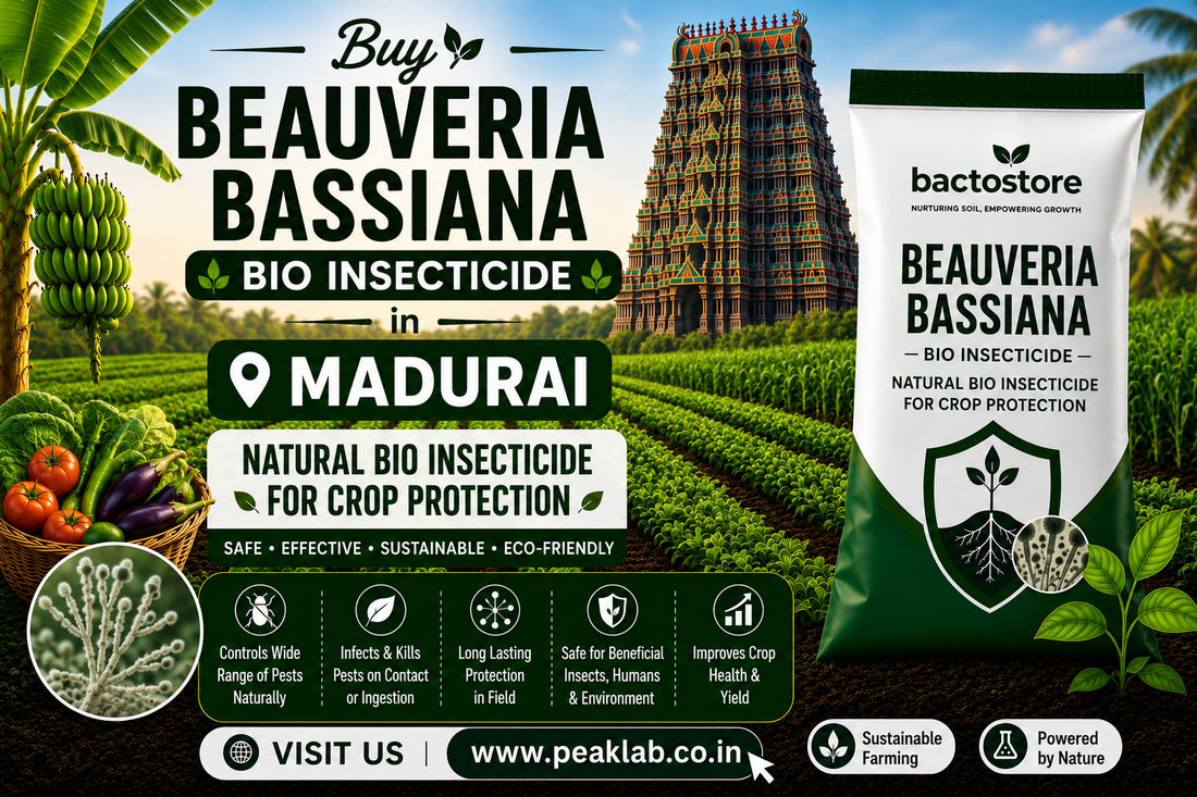 Buy Beauveria Bassiana in Madurai – Natural Bio Insecticide for Crop Protection