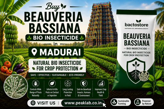 Buy Beauveria Bassiana in Madurai – Natural Bio Insecticide for Crop Protection