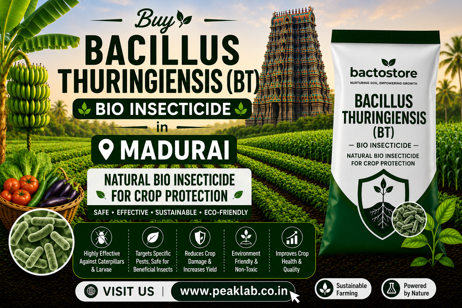 Buy Bacillus Thuringiensis (BT) Bio Insecticide in Madurai. – Bactostore