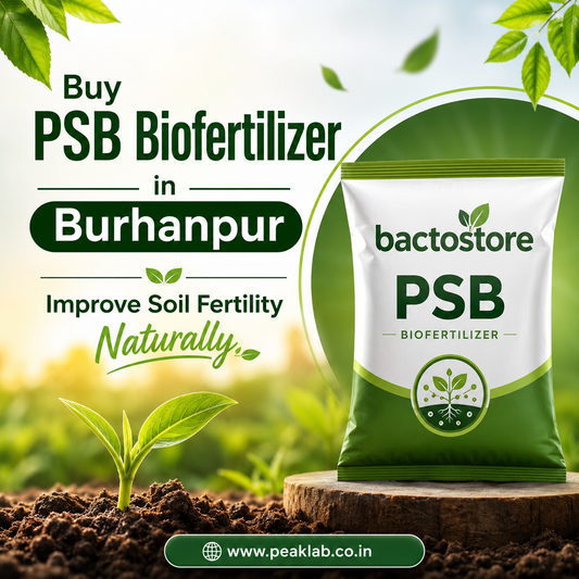 Buy PSB Biofertilizer in Burhanpur – Improve Soil Fertility Naturally