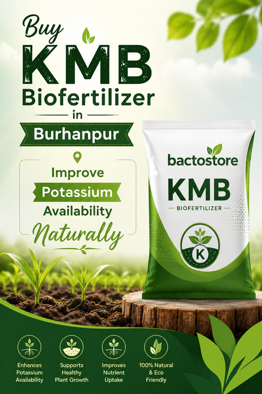 Buy KMB Biofertilizer in Burhanpur – Improve Potassium Availability Naturally