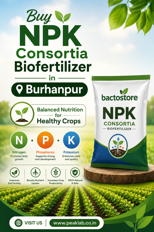 Buy NPK Consortia Biofertilizer in Burhanpur – Balanced Nutrition for Healthy Crops