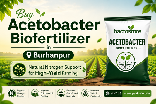 Buy Acetobacter Biofertilizer in Burhanpur – Natural Nitrogen Support for High-Yield Farming