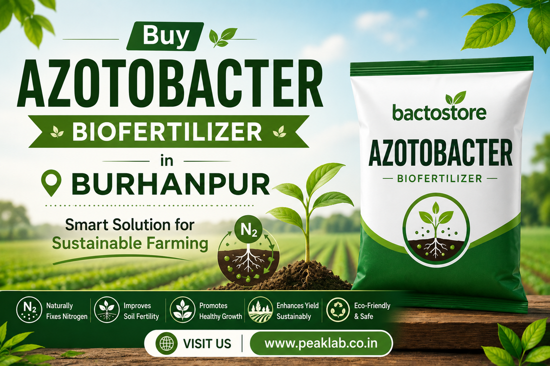 Buy Azotobacter Biofertilizer in Burhanpur – Smart Solution for Sustainable Farming