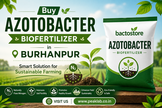 Buy Azotobacter Biofertilizer in Burhanpur – Smart Solution for Sustainable Farming