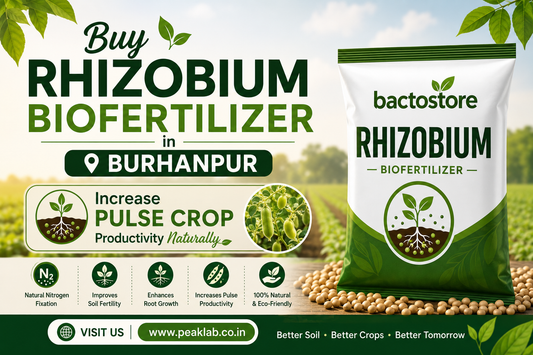 Buy Rhizobium Biofertilizer in Burhanpur – Increase Pulse Crop Productivity Naturally