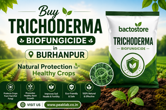 Buy Trichoderma Biofungicide in Burhanpur – Natural Protection for Healthy Crops