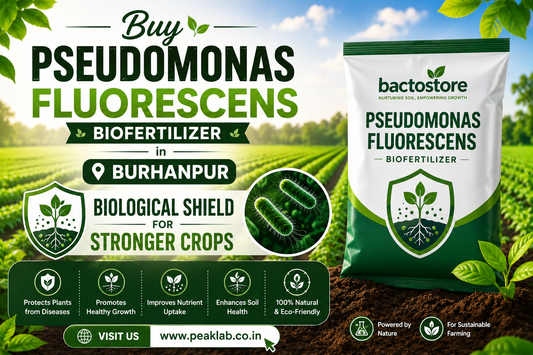 Buy Pseudomonas Fluorescens in Burhanpur – Biological Shield for Stronger Crops