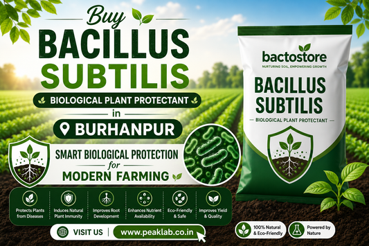 Buy Bacillus Subtilis in Burhanpur – Smart Biological Protection for Modern Farming