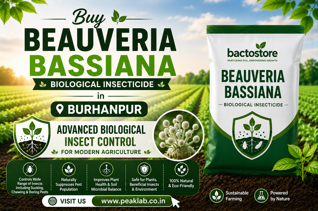 Buy Beauveria Bassiana in Burhanpur – Advanced Biological Insect Control for Modern Agriculture