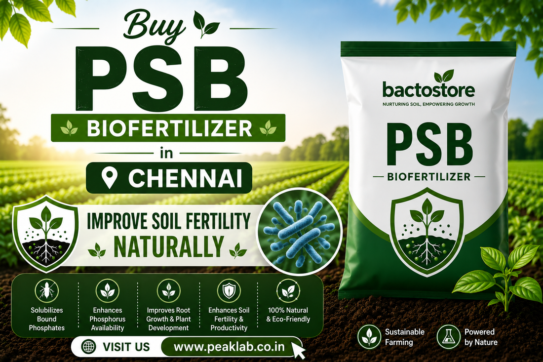 Buy PSB Biofertilizer in Chennai – Improve Soil Fertility Naturally