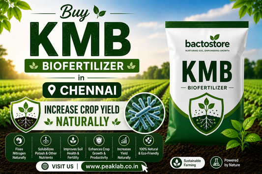 Buy KMB Biofertilizer in Chennai – Increase Crop Yield Naturally