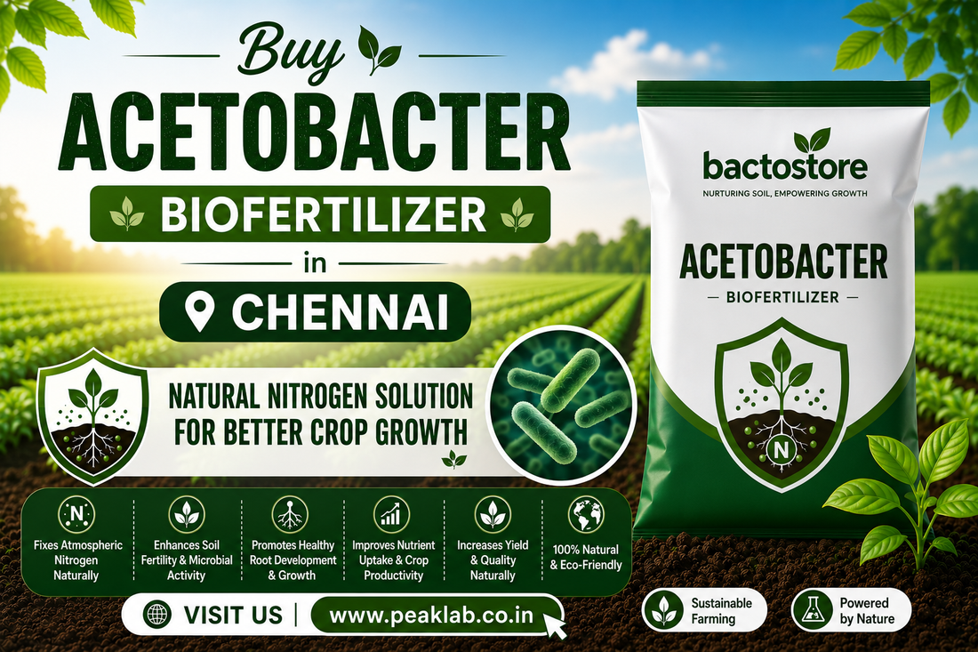 Buy Acetobacter Biofertilizer in Chennai – Natural Nitrogen Solution for Better Crop Growth