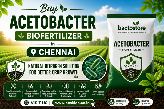 Buy Acetobacter Biofertilizer in Chennai – Natural Nitrogen Solution for Better Crop Growth