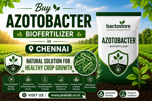 Buy Azotobacter Biofertilizer in Chennai – Natural Solution for Healthy Crop Growth