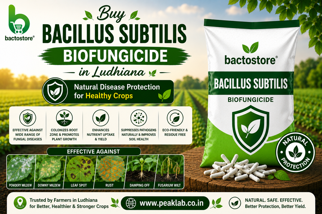 Buy Bacillus Subtilis Biofungicide in Ludhiana – Natural Disease Protection for Healthy Crops