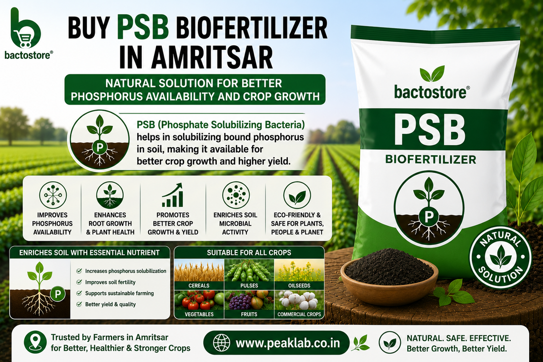 Buy PSB Biofertilizer in Amritsar – Natural Solution for Better Phosphorus Availability and Crop Growth