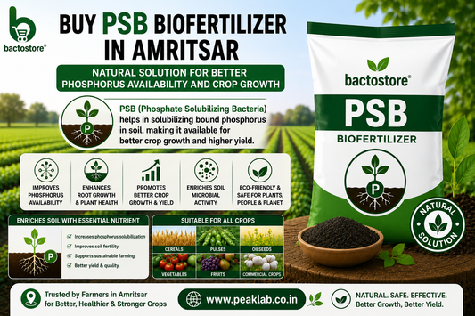 Buy PSB Biofertilizer in Amritsar – Natural Solution for Better Phosphorus Availability and Crop Growth