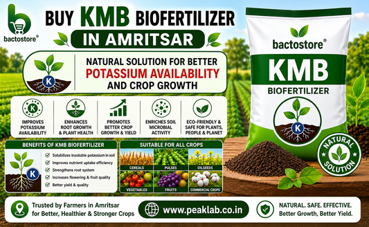Buy KMB Biofertilizer in Amritsar – Natural Solution for Better Potassium Availability and Crop Growth
