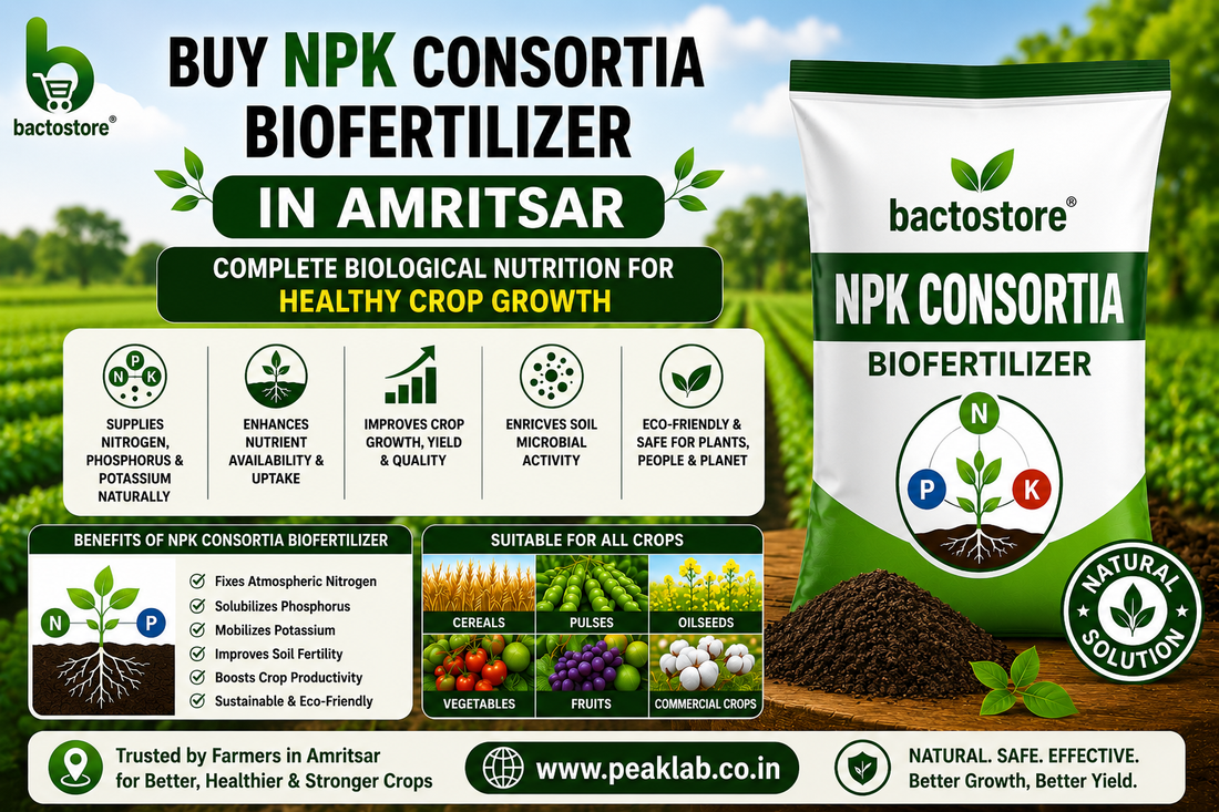 Buy NPK Consortia Biofertilizer in Amritsar – Complete Biological Nutrition for Healthy Crop Growth