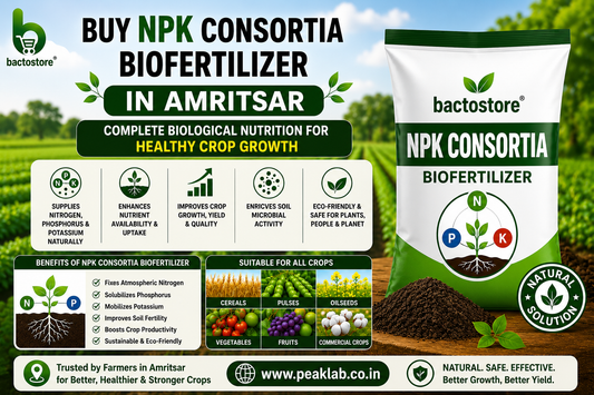 Buy NPK Consortia Biofertilizer in Amritsar – Complete Biological Nutrition for Healthy Crop Growth