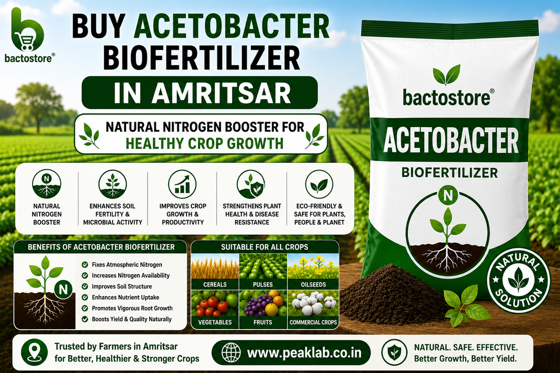 Buy Acetobacter Biofertilizer in Amritsar – Natural Nitrogen Booster for Healthy Crop Growth