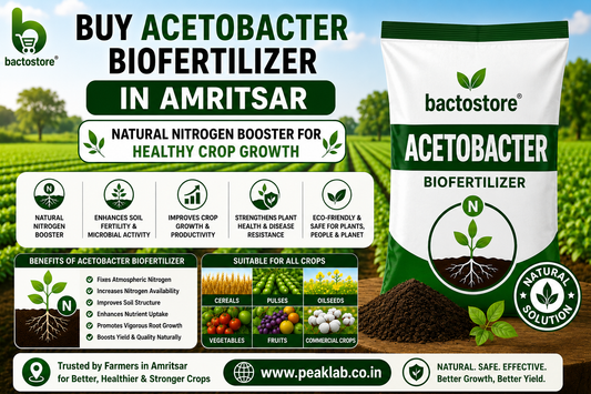 Buy Acetobacter Biofertilizer in Amritsar – Natural Nitrogen Booster for Healthy Crop Growth