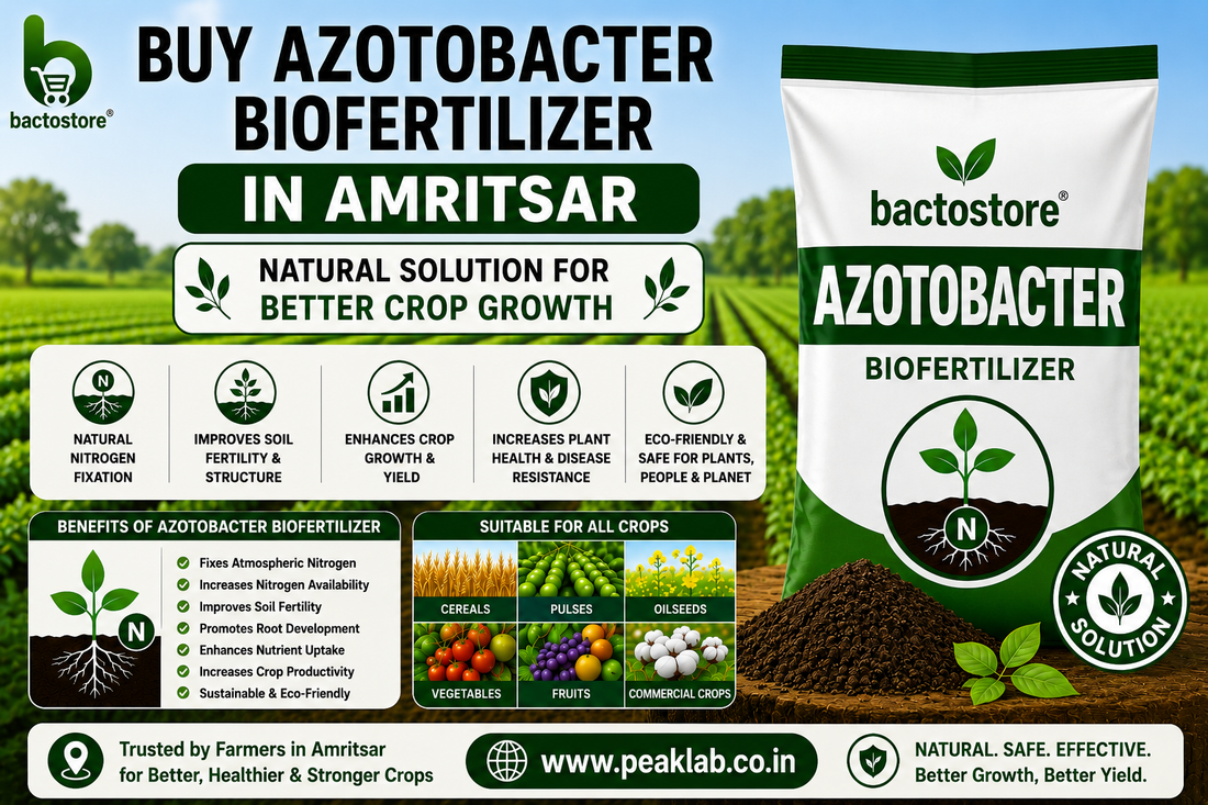 Buy Azotobacter Biofertilizer in Amritsar – Natural Solution for Better Crop Growth