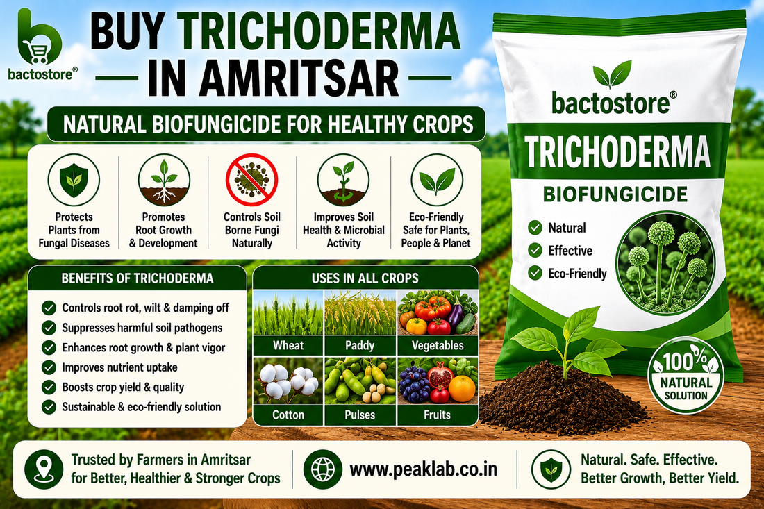 Buy Trichoderma in Amritsar – Natural Biofungicide for Healthy Crops