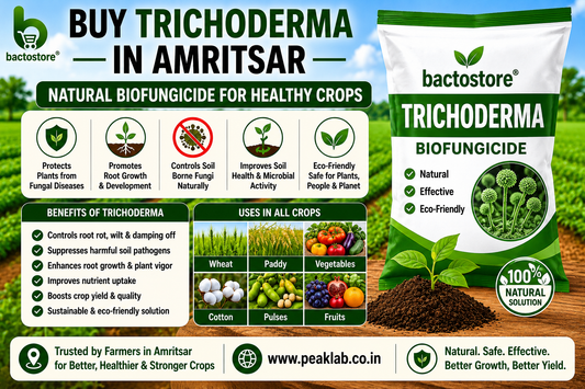 Buy Trichoderma in Amritsar – Natural Biofungicide for Healthy Crops
