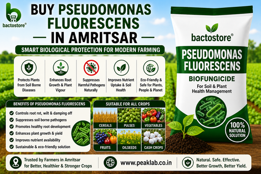 Buy Pseudomonas Fluorescens in Amritsar – Smart Biological Protection for Modern Farming