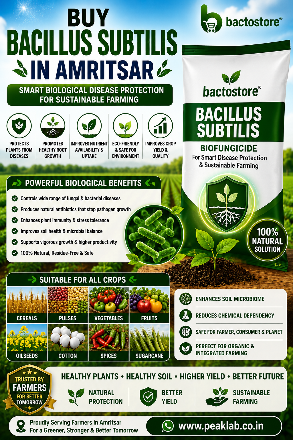 Buy Bacillus Subtilis in Amritsar – Smart Biological Disease Protection for Sustainable Farming