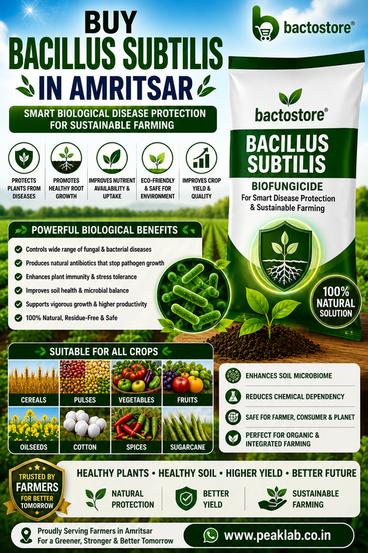 Buy Bacillus Subtilis in Amritsar – Smart Biological Disease Protection for Sustainable Farming