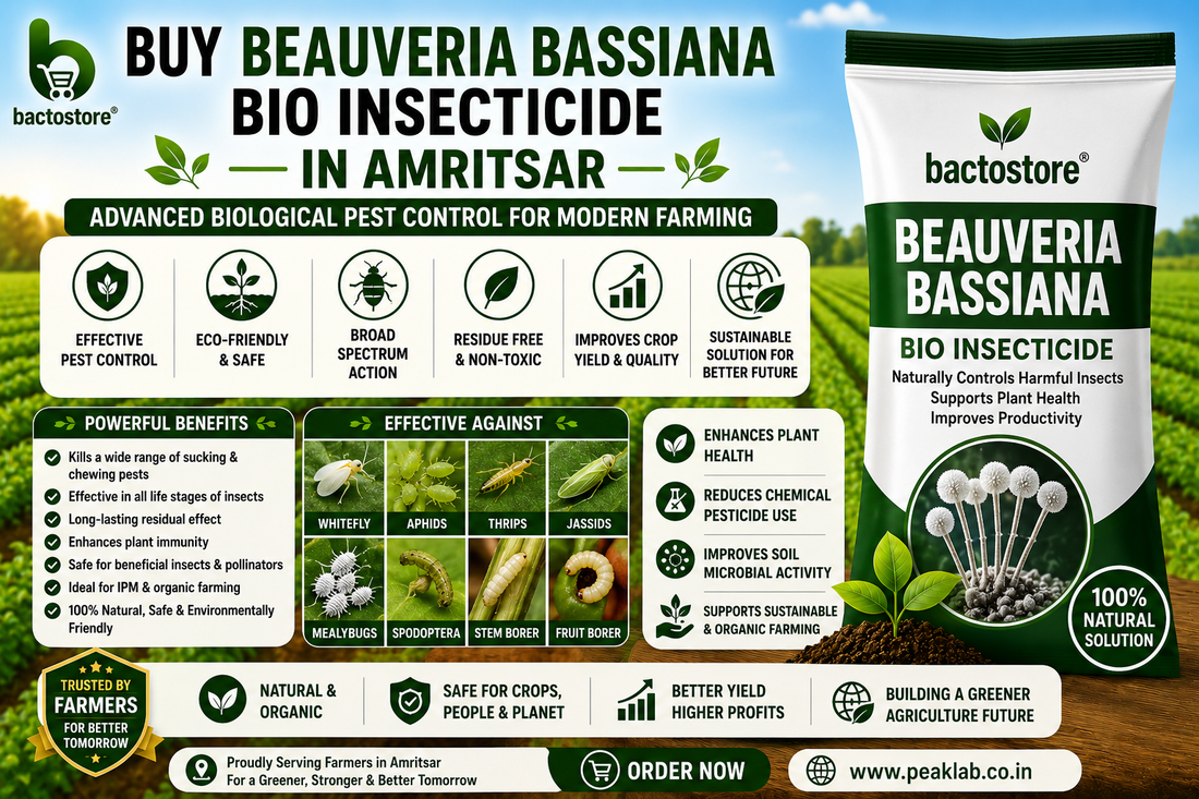 Buy Beauveria Bassiana Bio Insecticide in Amritsar – Advanced Biological Pest Control for Modern Farming