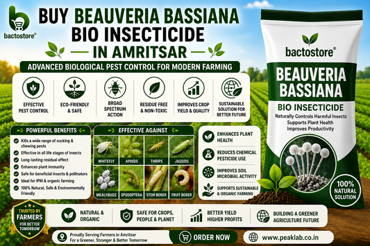 Buy Beauveria Bassiana Bio Insecticide in Amritsar – Advanced Biological Pest Control for Modern Farming