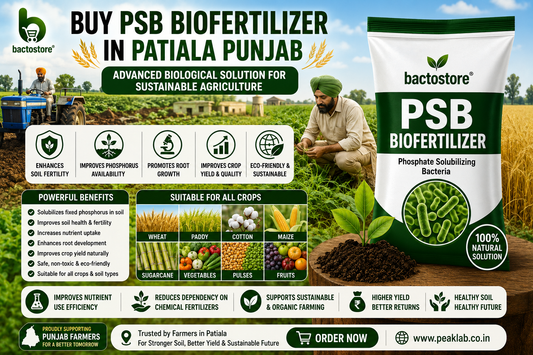 Buy PSB Biofertilizer in Patiala Punjab – Advanced Biological Solution for Sustainable Agriculture
