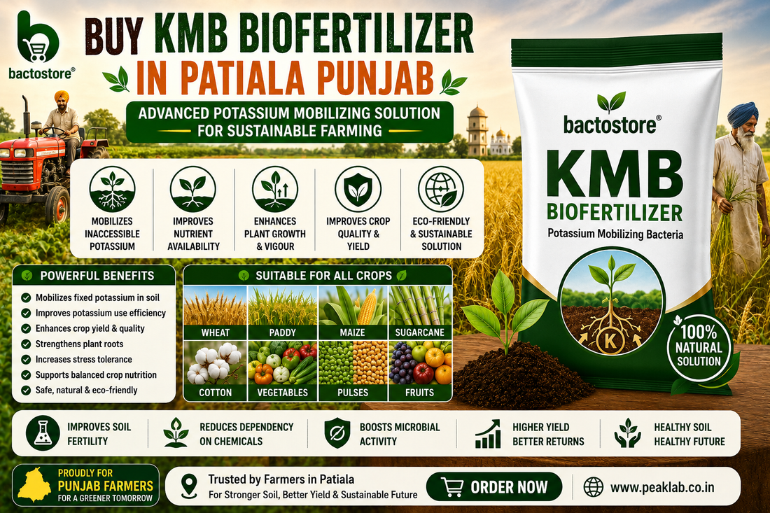 Buy KMB Biofertilizer in Patiala Punjab – Advanced Potassium Mobilizing Solution for Sustainable Farming