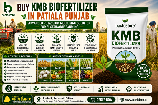 Buy KMB Biofertilizer in Patiala Punjab – Advanced Potassium Mobilizing Solution for Sustainable Farming