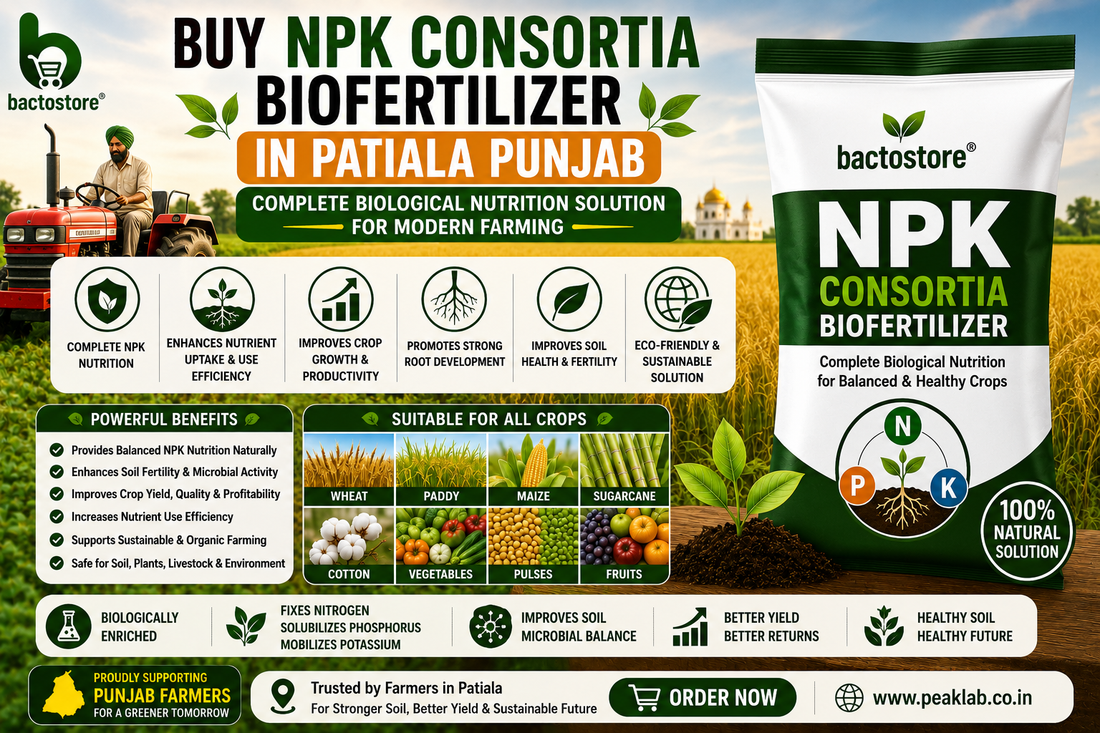 Buy NPK Consortia Biofertilizer in Patiala Punjab – Complete Biological Nutrition Solution for Modern Farming